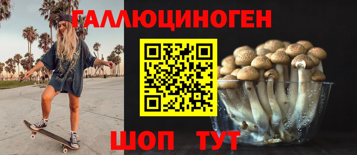 Галлюциногенные грибы Psilocybe  Вход с VPN  купить наркотики цена  Еманжелинск 